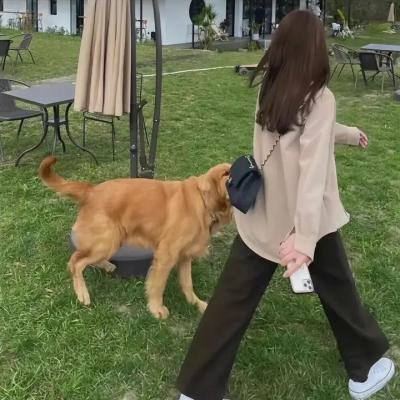 暗涌情事